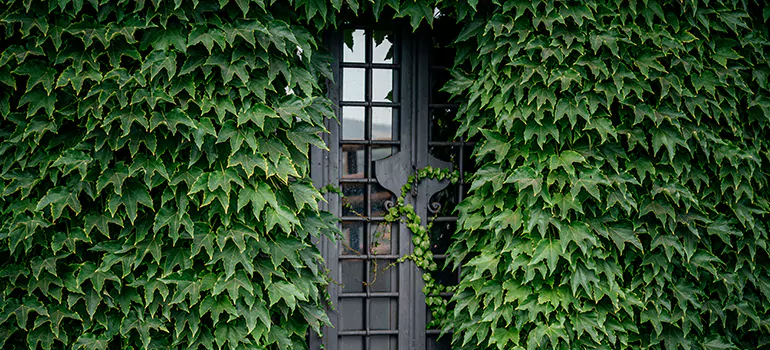 Garden Gate Repair in Englewood, FL