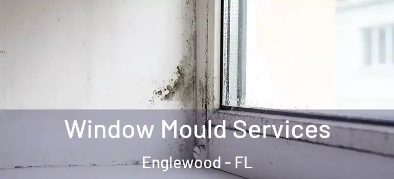  Window Mould Services Englewood - FL